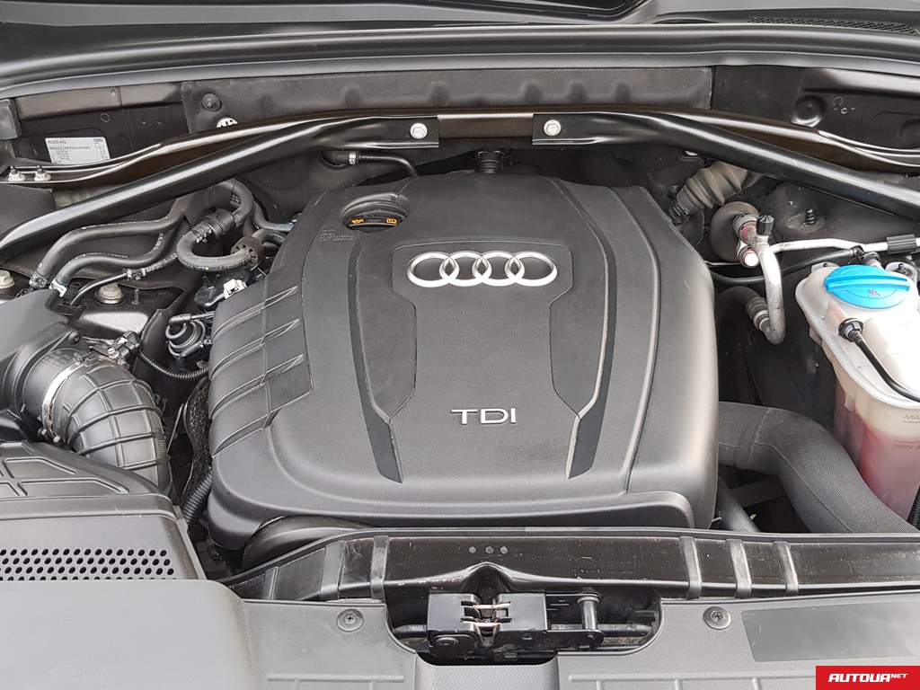 Audi Q5 Q5 2.0 TDI QUATTRO (8R, I, MLB) 2013 года за 522 997 грн в Киеве