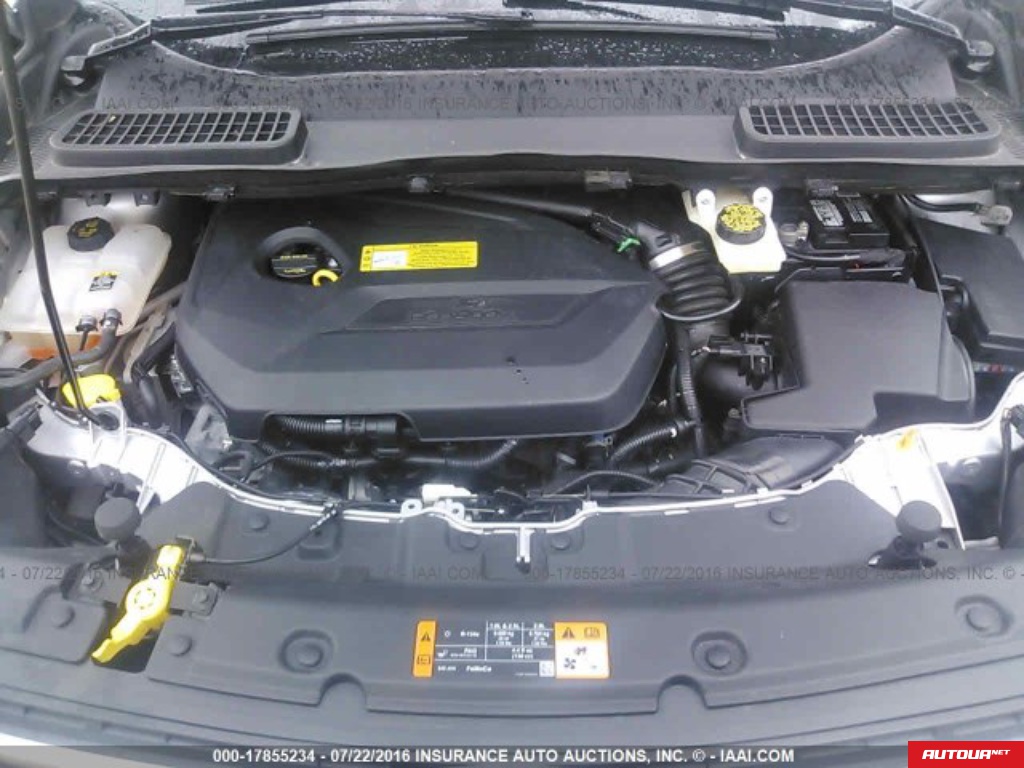 Ford Escape 1.6L I4 FI DOHC 16V NF4 2013 года за 430 548 грн в Киеве